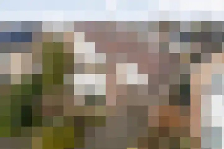de Bongerd 5 Saasveld