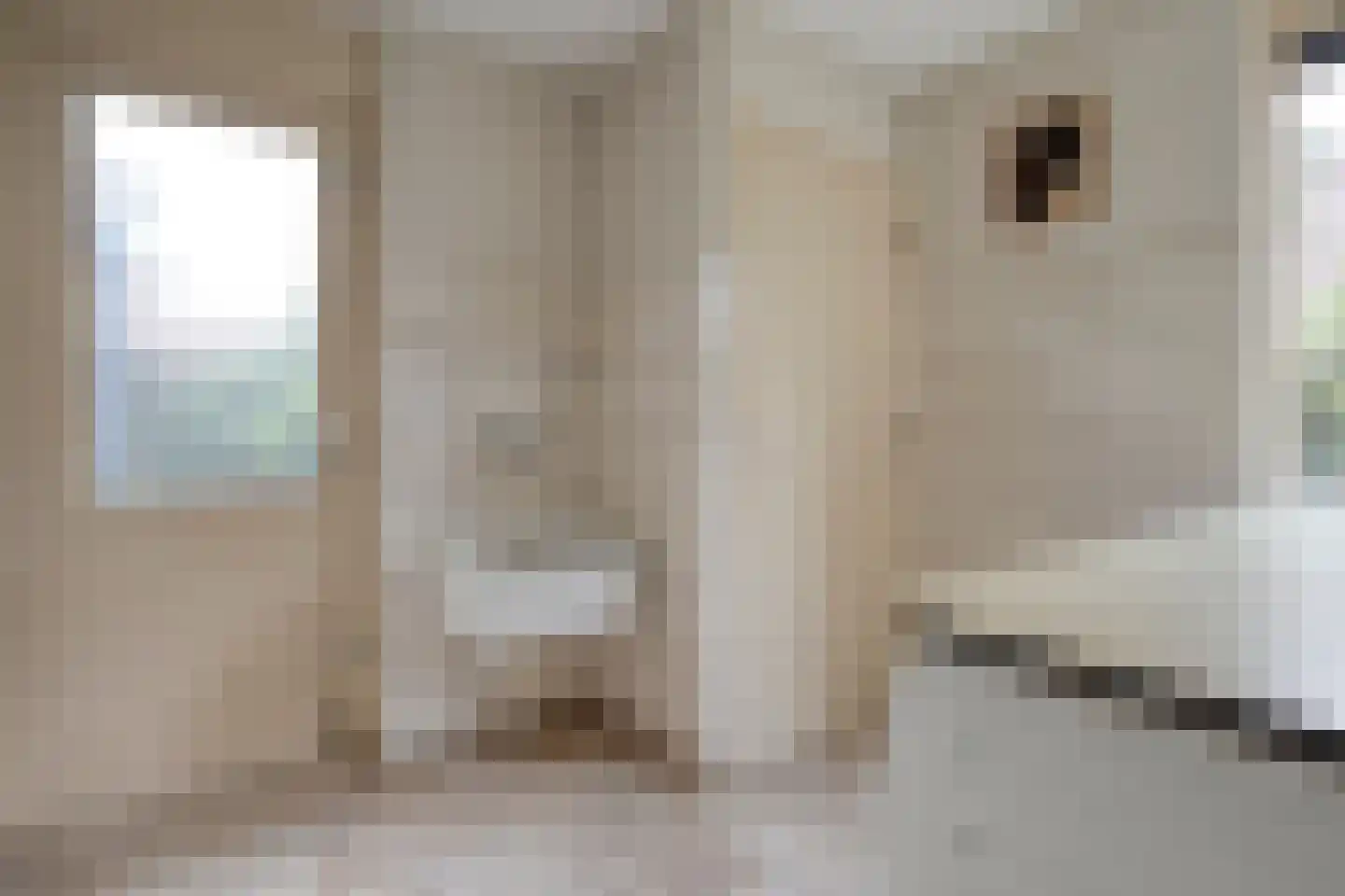 de Bongerd 5 Saasveld thumbnail 11