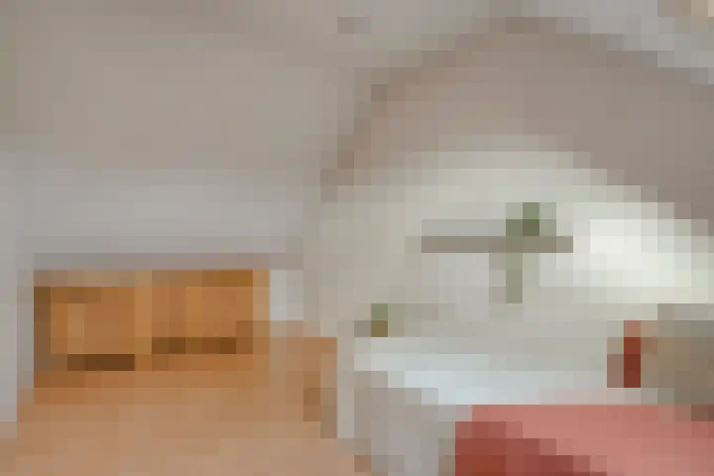 de Bongerd 5 Saasveld thumbnail 20