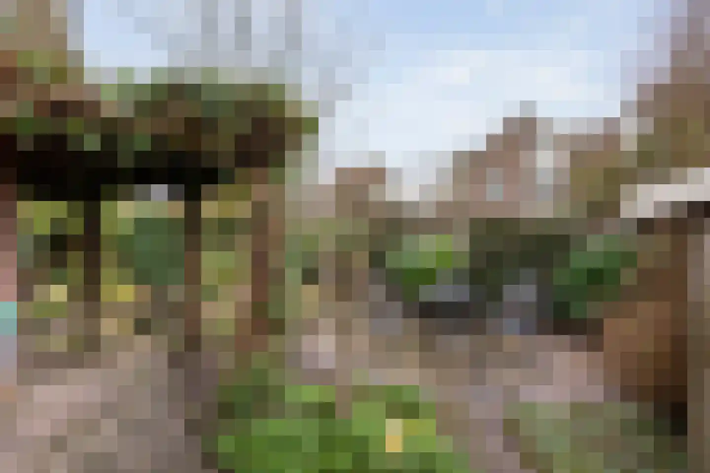 de Bongerd 5 Saasveld thumbnail 22
