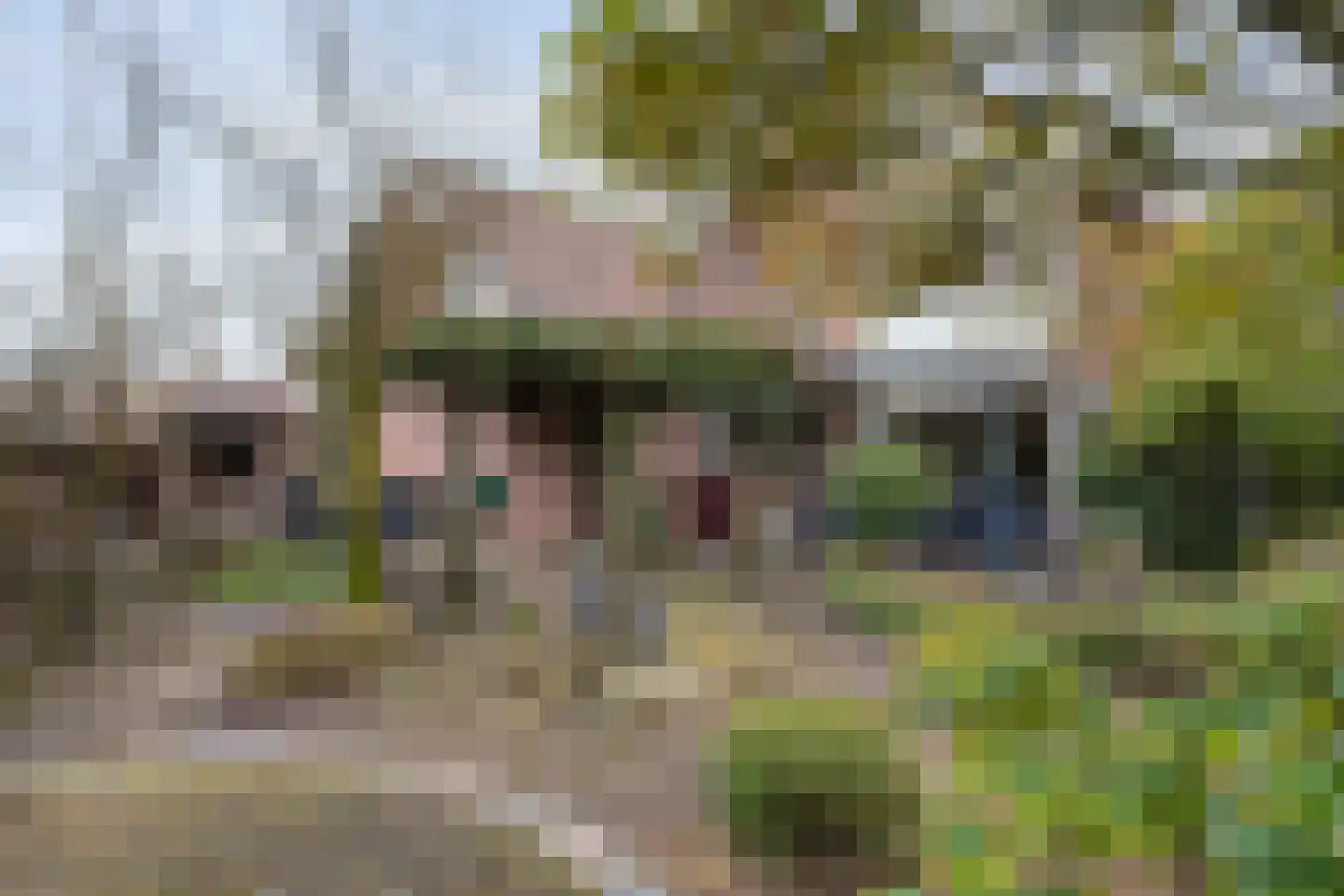de Bongerd 5 Saasveld foto 3