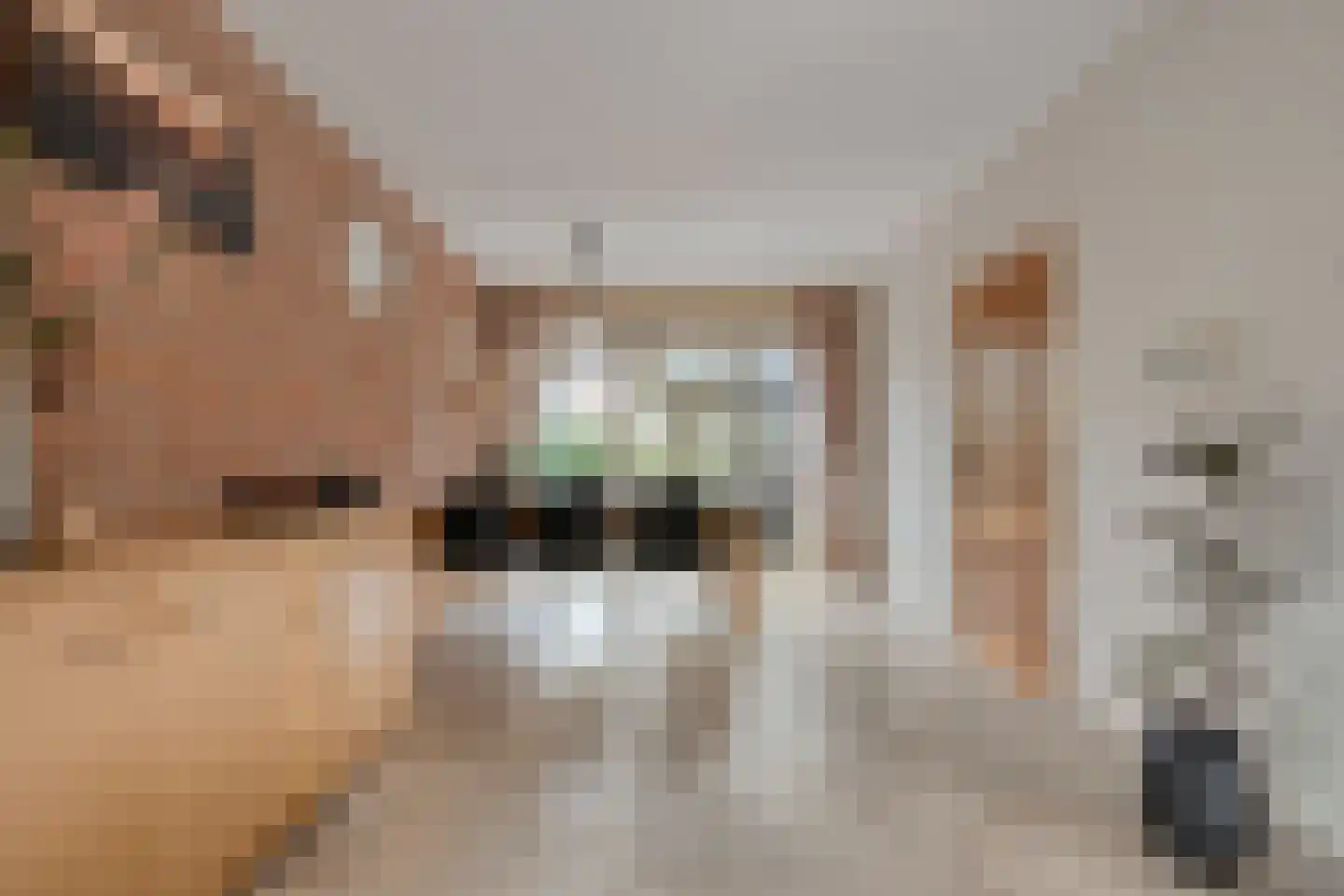 de Bongerd 5 Saasveld thumbnail 8