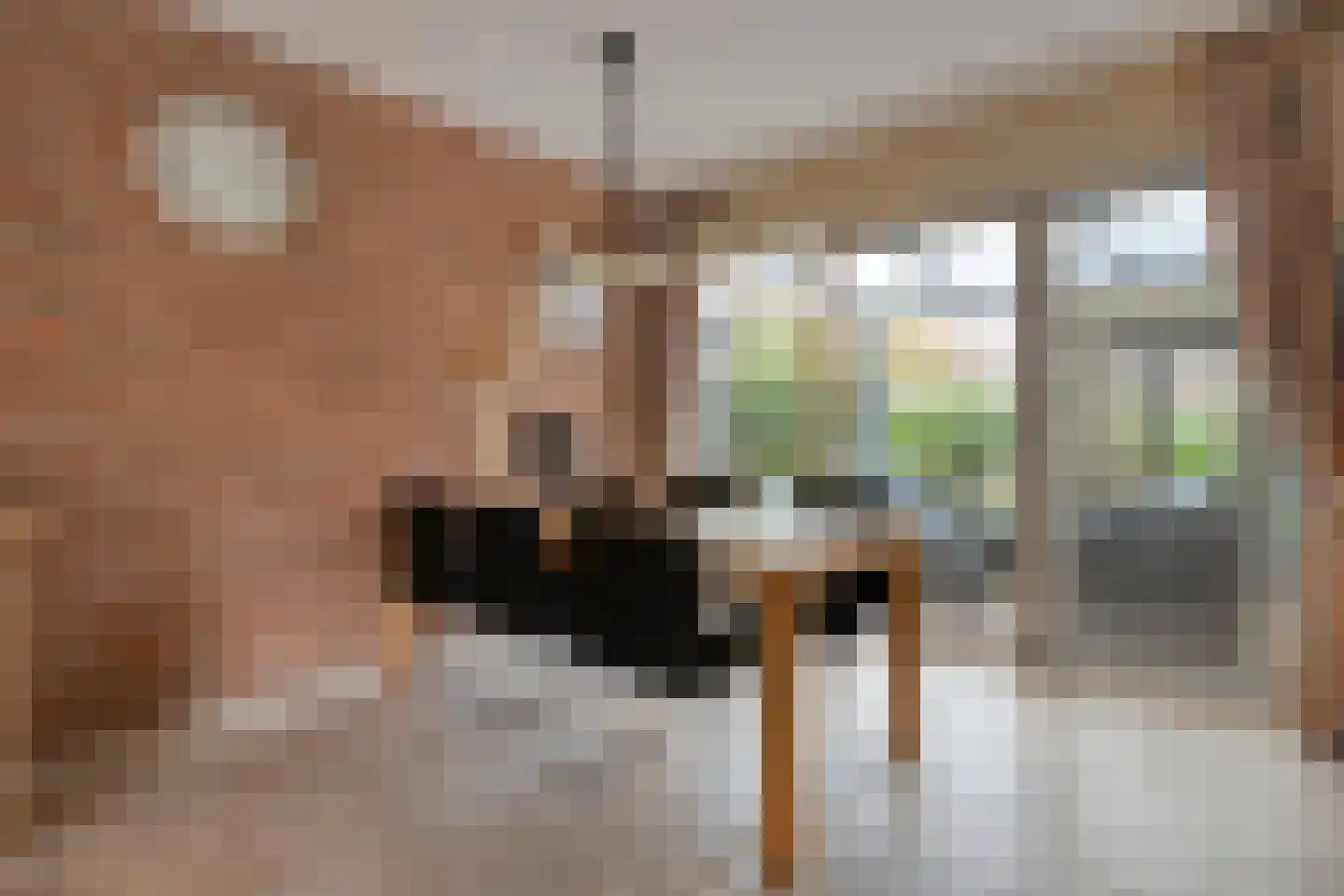 de Bongerd 5 Saasveld thumbnail 9
