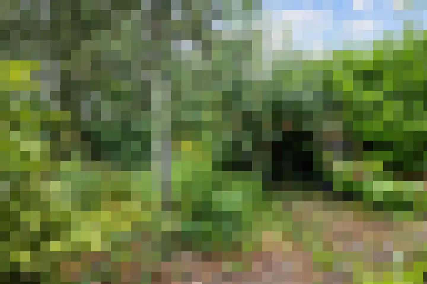 De Bongerd 52 Zuidhorn thumbnail 31