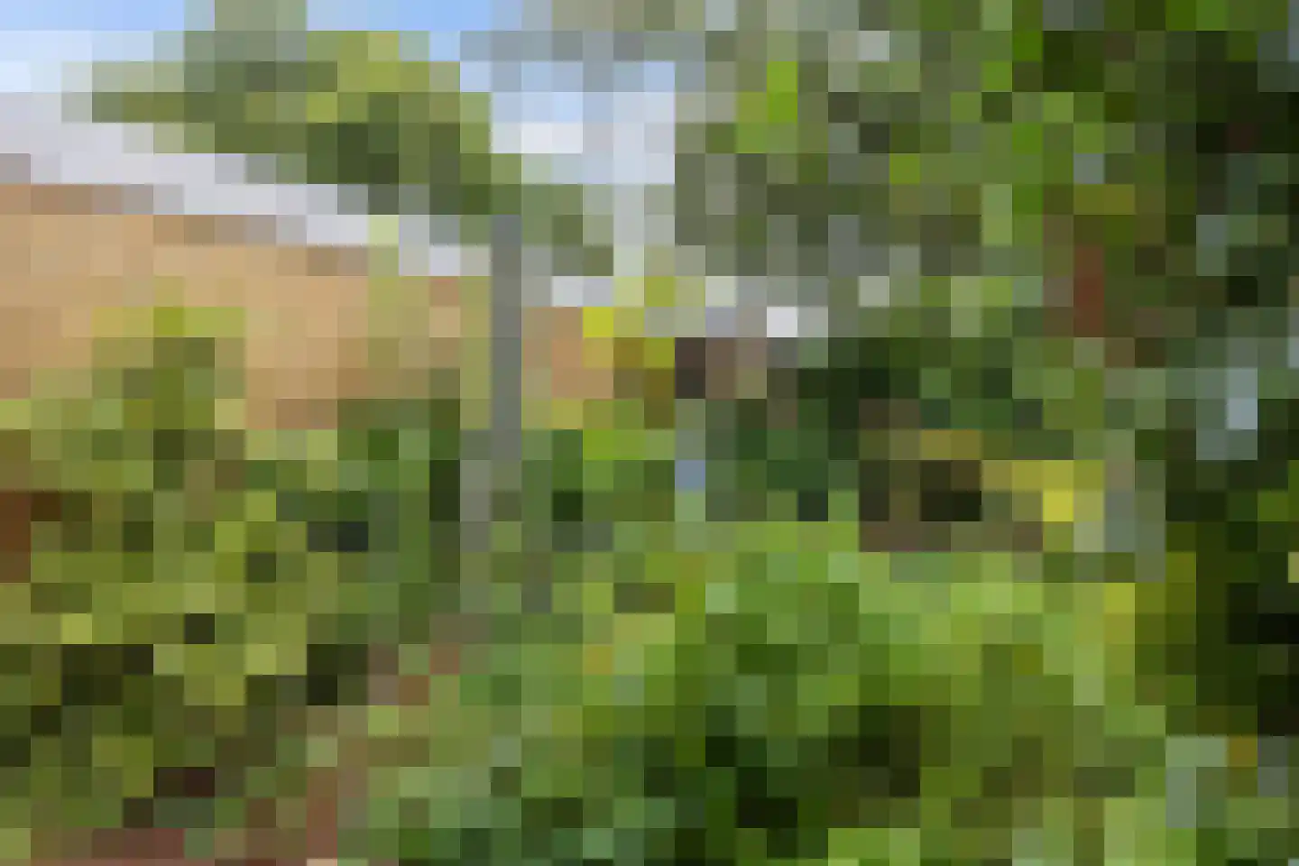 De Bongerd 52 Zuidhorn thumbnail 32