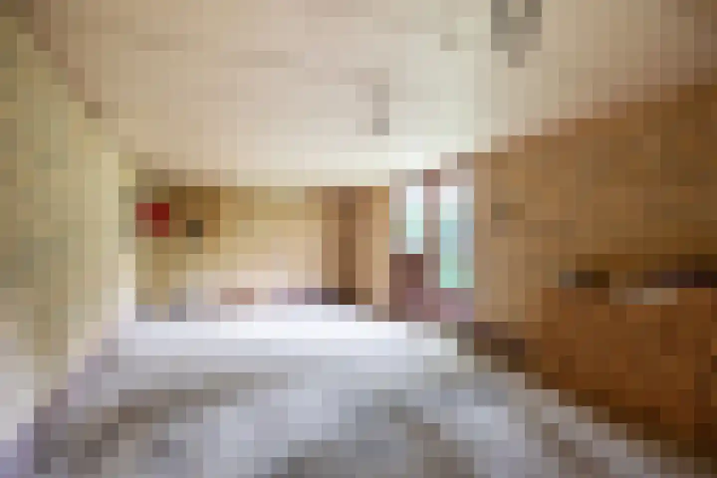 De Bongerd 52 Zuidhorn thumbnail 35