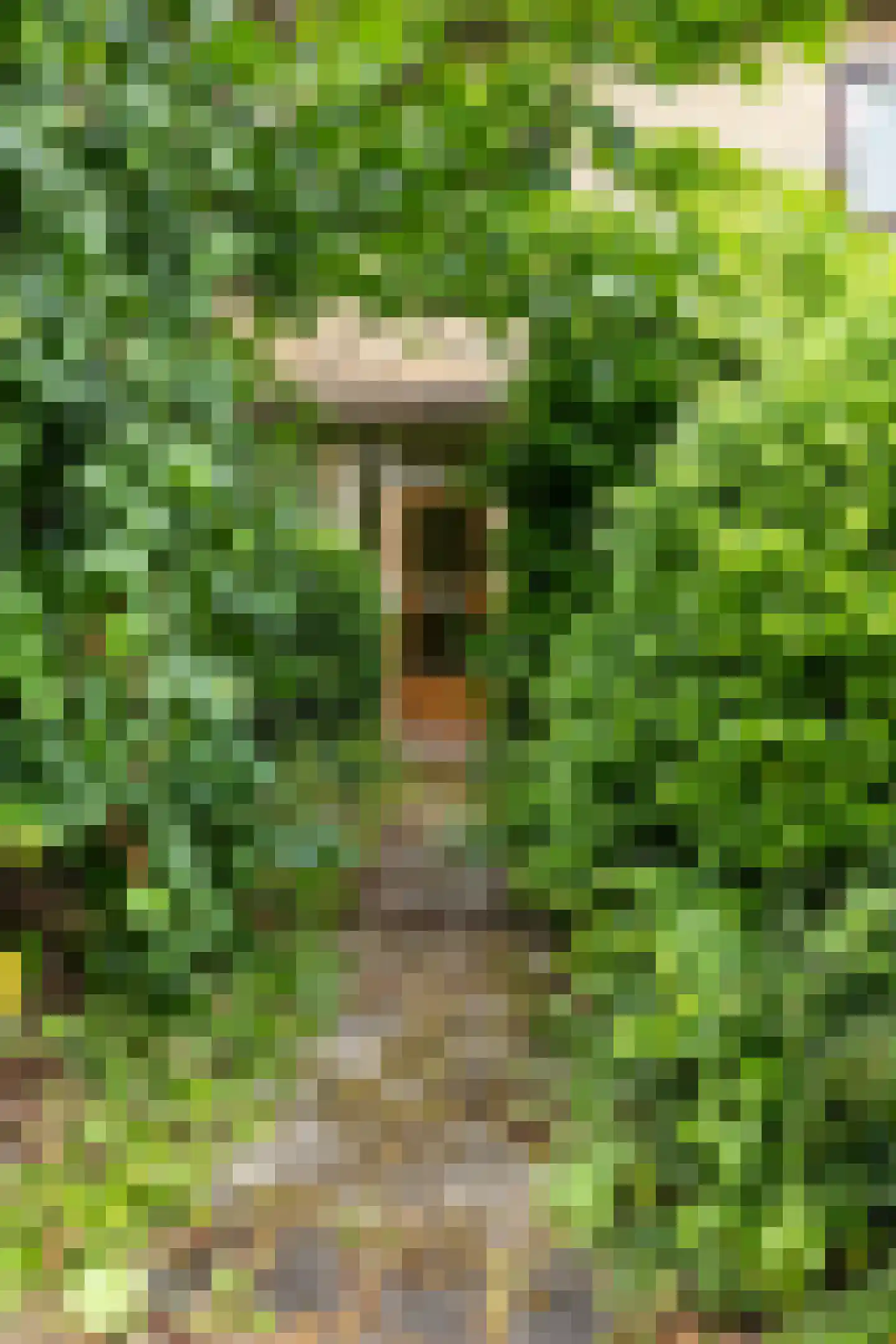 De Bongerd 52 Zuidhorn thumbnail 4