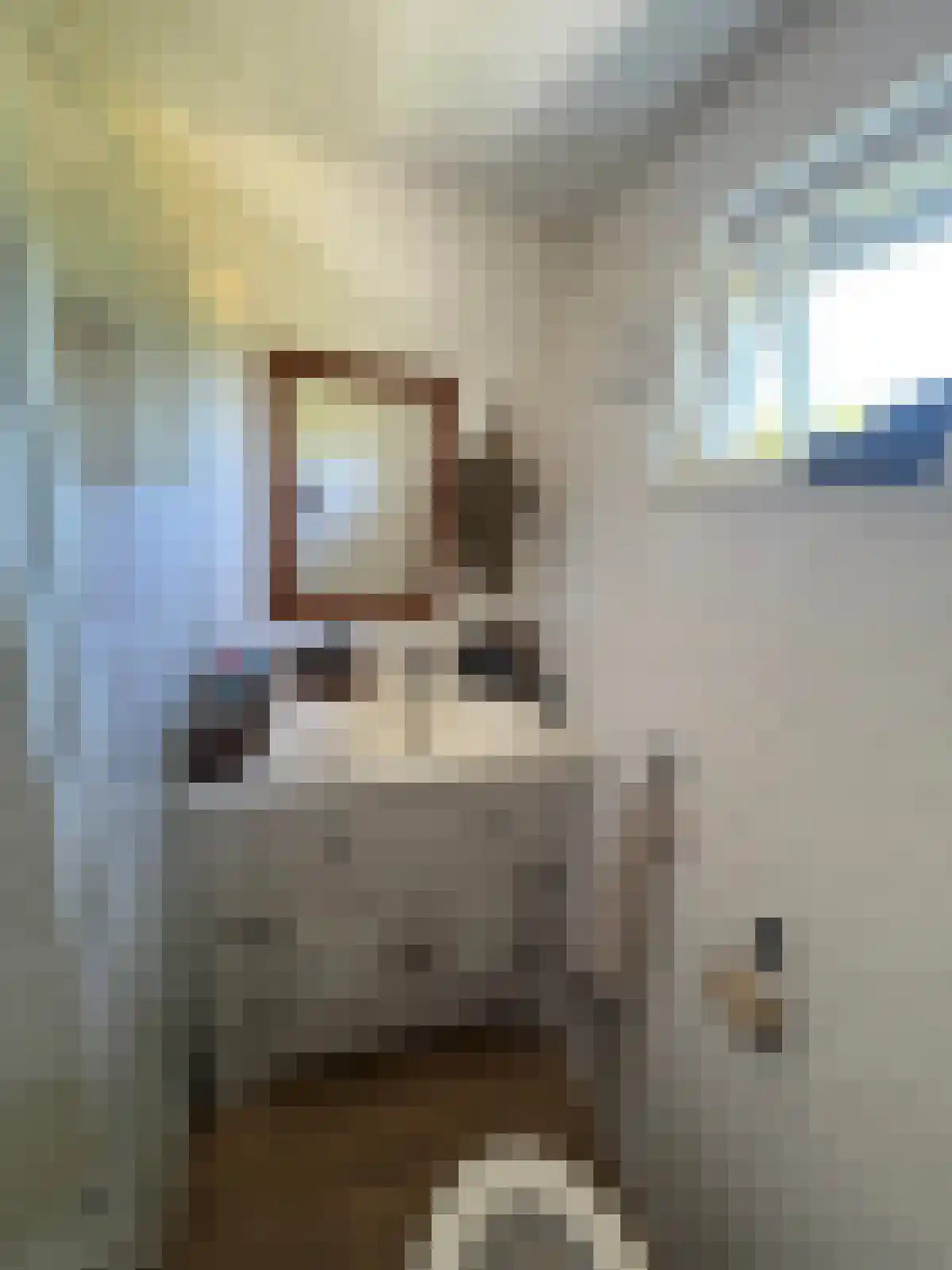 De Bongerd 54 Rohel thumbnail 5