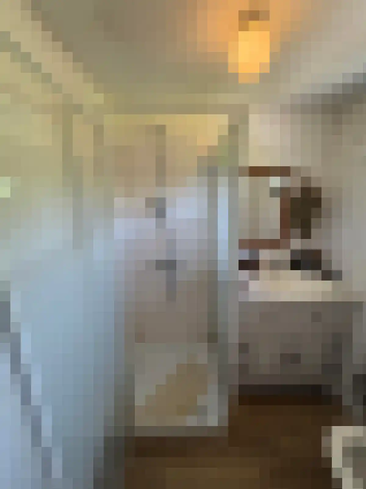 De Bongerd 54 Rohel thumbnail 6