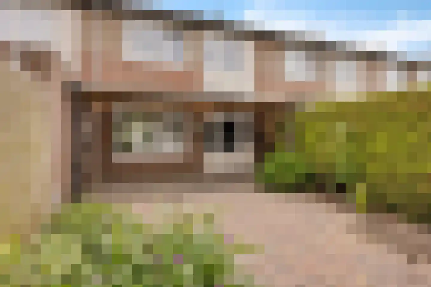 De Bongerd 56 Schoonebeek thumbnail 10