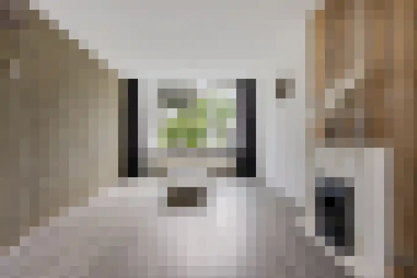 De Bongerd 56 Schoonebeek thumbnail 17