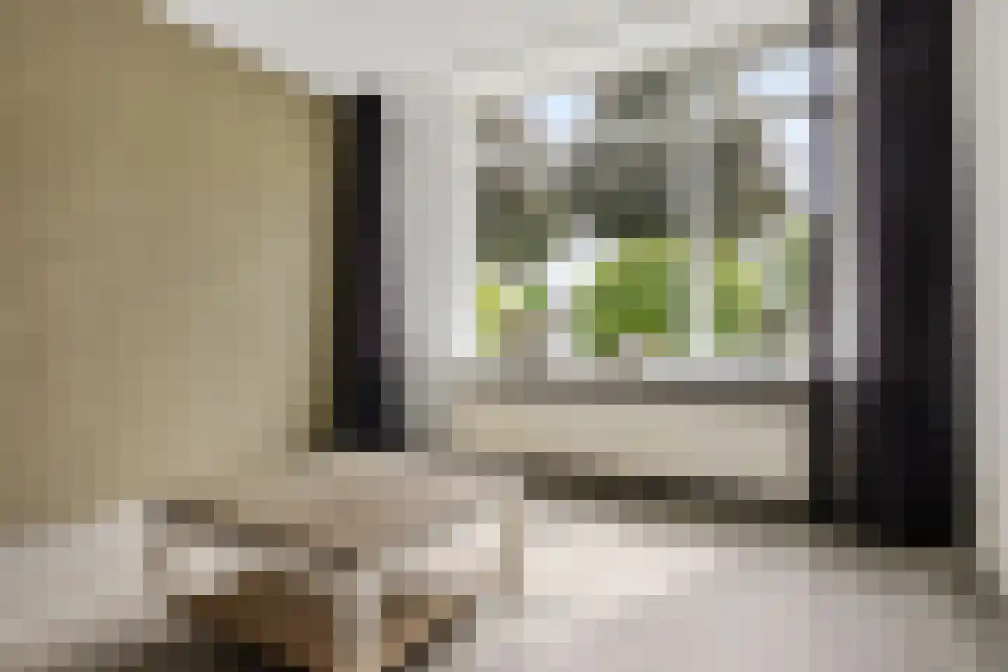 De Bongerd 56 Schoonebeek thumbnail 18