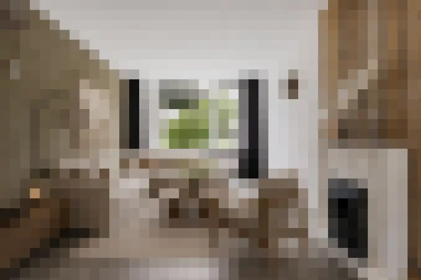 De Bongerd 56 Schoonebeek thumbnail 19