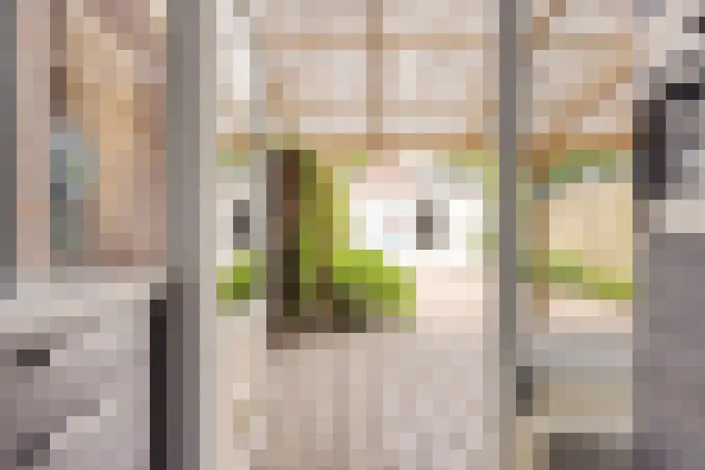 De Bongerd 56 Schoonebeek thumbnail 26