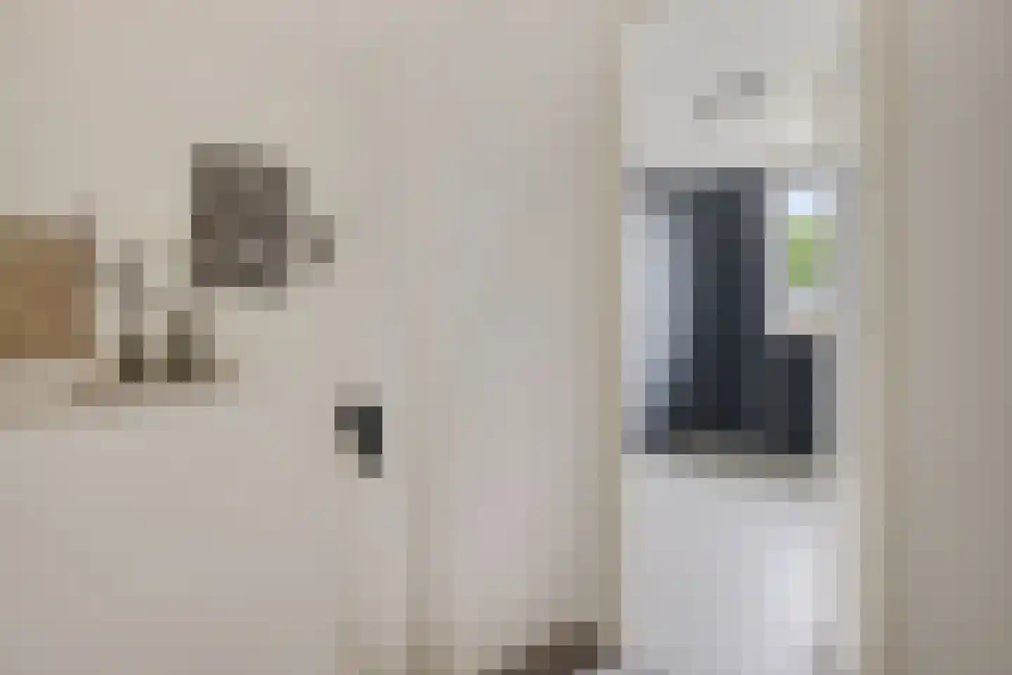 De Bongerd 56 Schoonebeek thumbnail 37