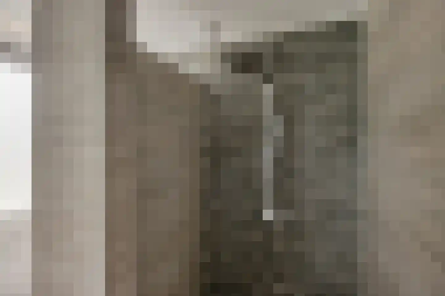 De Bongerd 56 Schoonebeek thumbnail 4