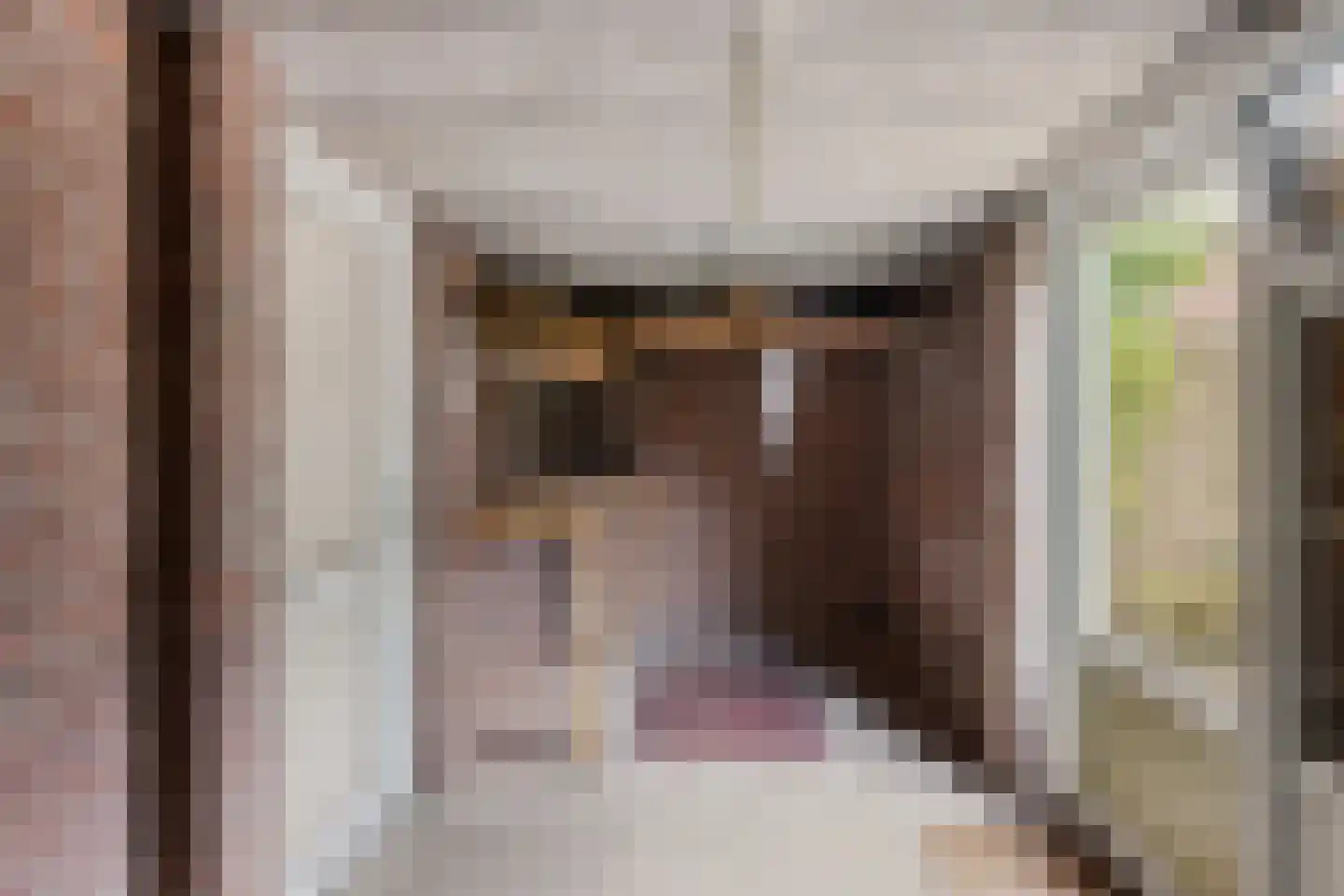 De Bongerd 56 Schoonebeek thumbnail 51