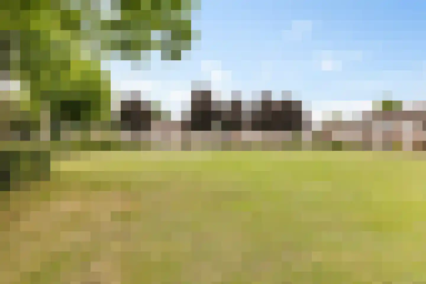 De Bongerd 56 Schoonebeek thumbnail 7