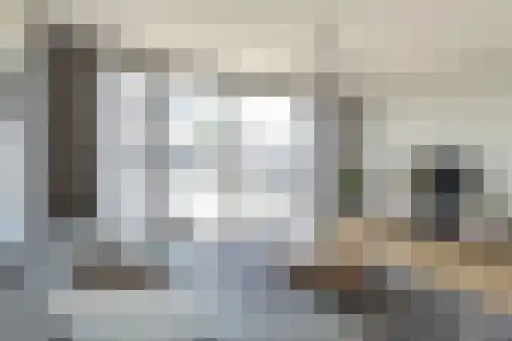 De Bongerd 57 Oss thumbnail 12