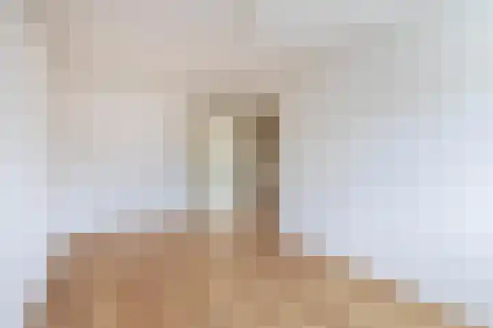 De Bongerd 57 Oss thumbnail 17