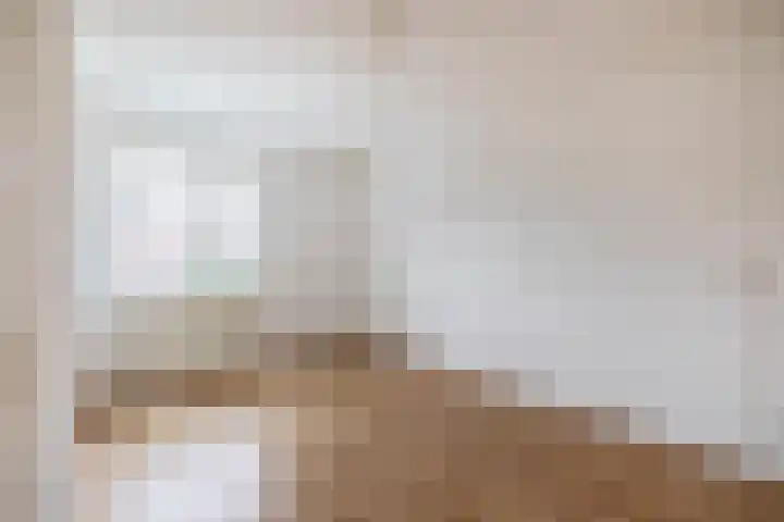 De Bongerd 57 Oss thumbnail 18