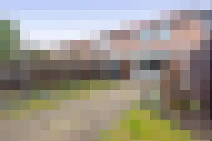 De Bongerd 57 Oss thumbnail 26