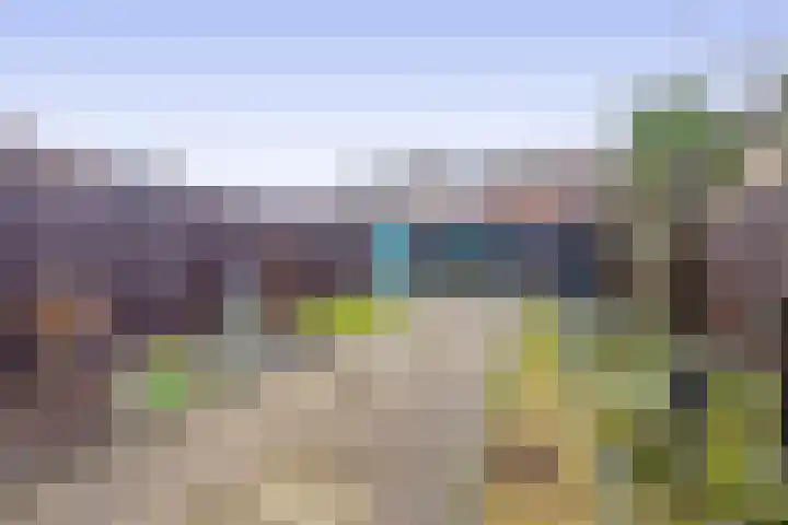 De Bongerd 57 Oss thumbnail 27