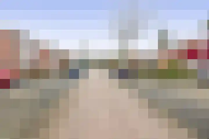 De Bongerd 57 Oss thumbnail 31