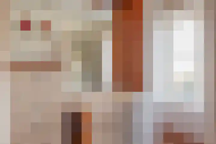 De Bongerd 57 Oss thumbnail 37