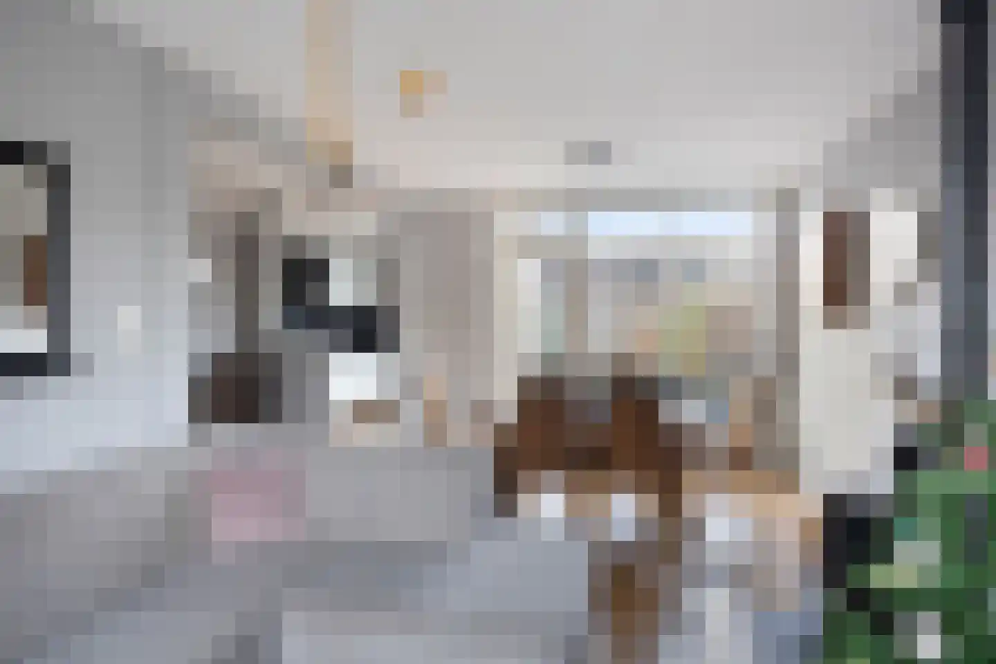 de Bongerd 6 Vorden thumbnail 12