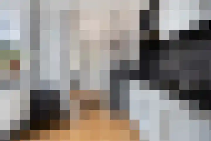 de Bongerd 6 Vorden thumbnail 17