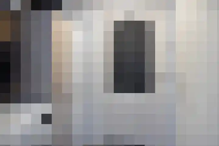 de Bongerd 6 Vorden thumbnail 18