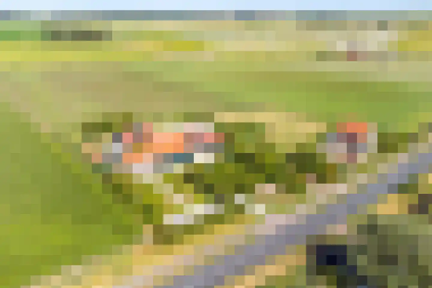de Bongerd 6 Vorden foto 2