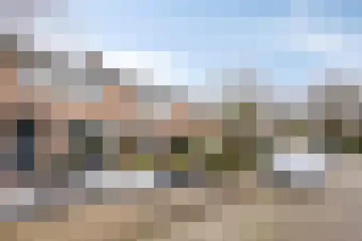 de Bongerd 6 Vorden foto 2