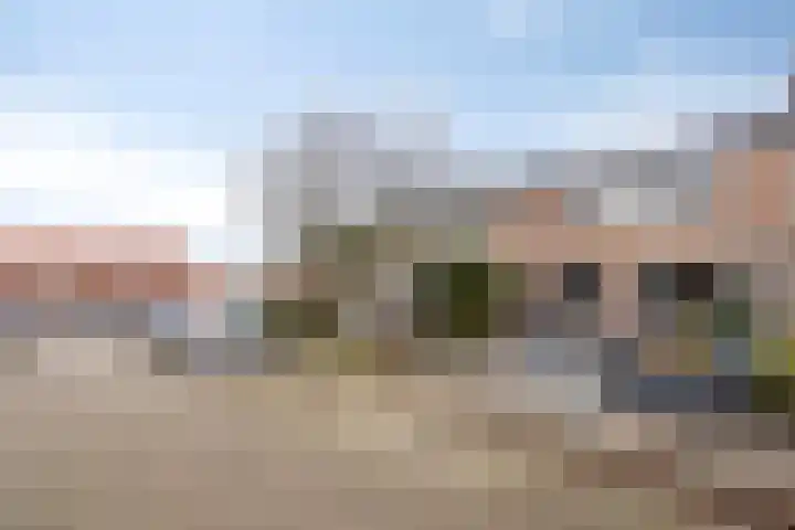 de Bongerd 6 Vorden foto 3