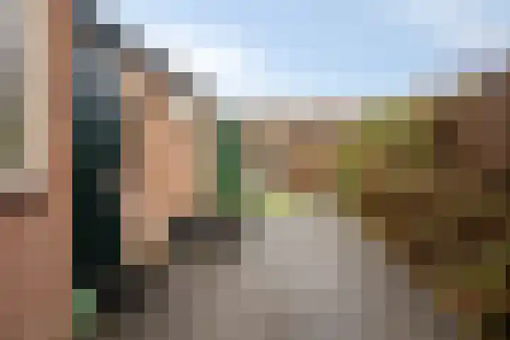 de Bongerd 6 Vorden thumbnail 31