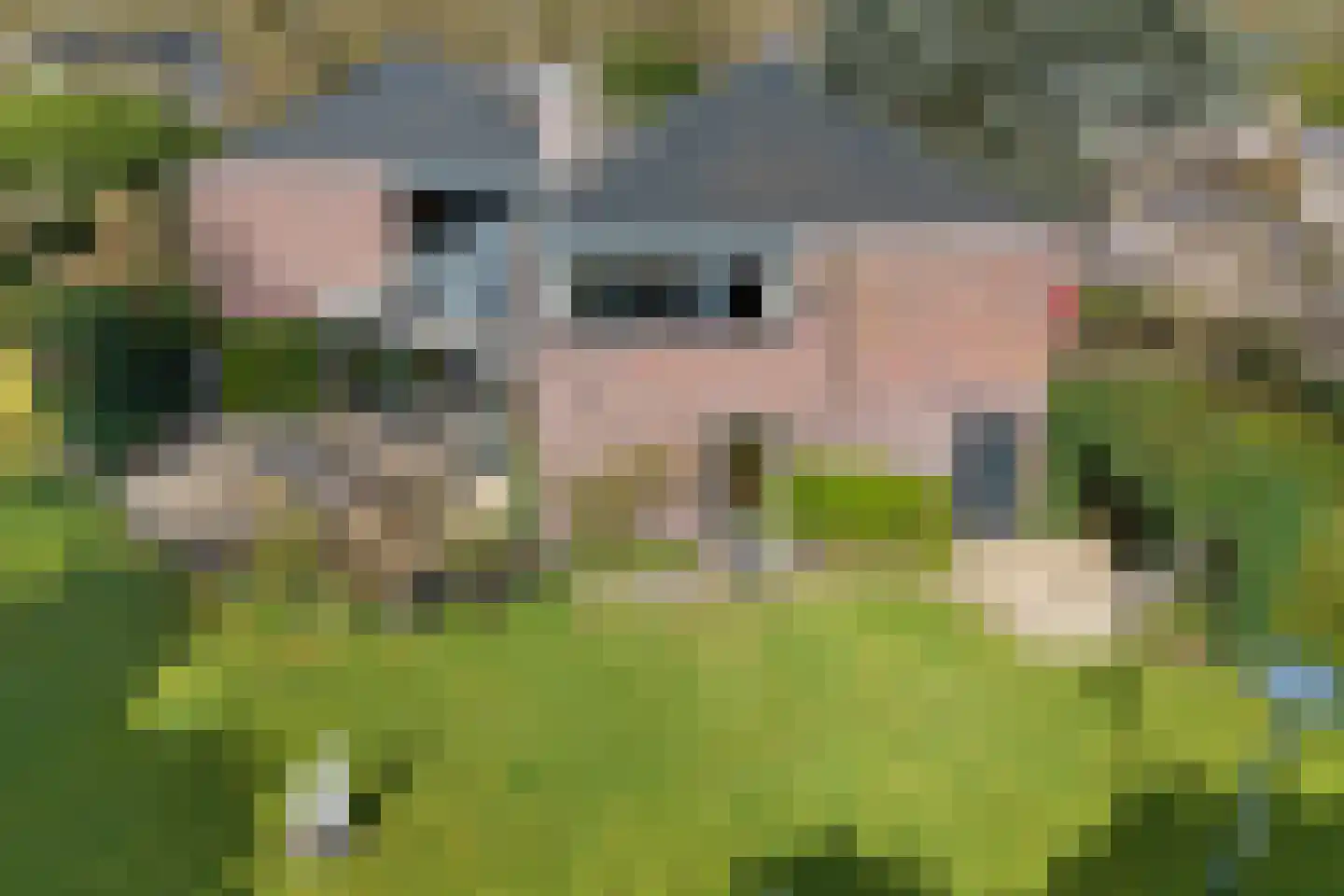 de Bongerd 6 Vorden thumbnail 5