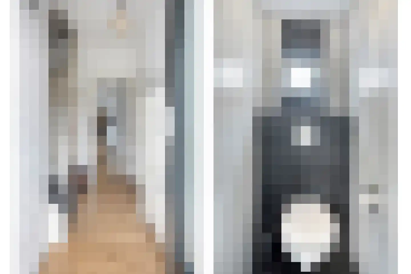 de Bongerd 6 Vorden thumbnail 7
