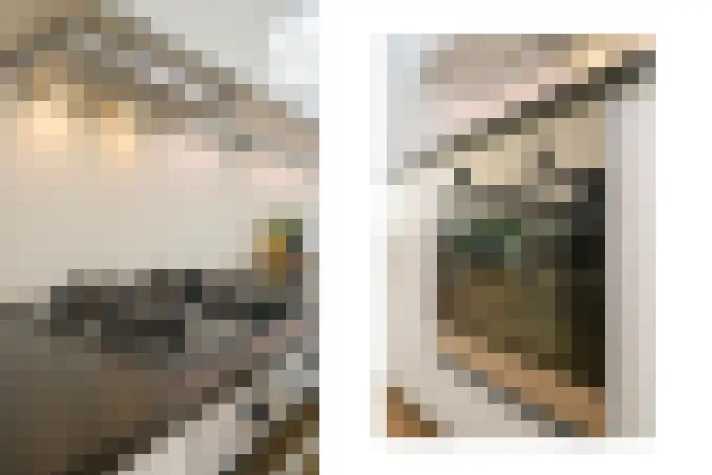 de Bongerd 6 Vorden thumbnail 7