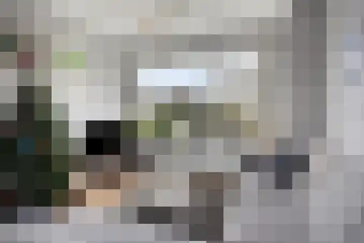 de Bongerd 6 Vorden thumbnail 9
