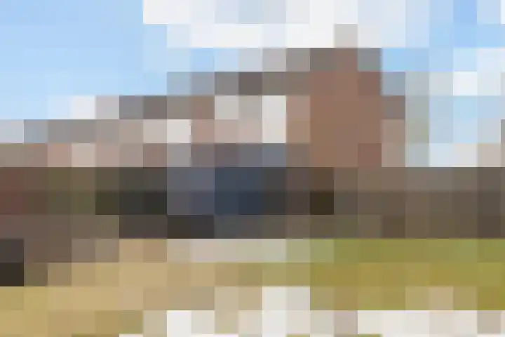 De Bongerd 60 Schoonebeek thumbnail 32