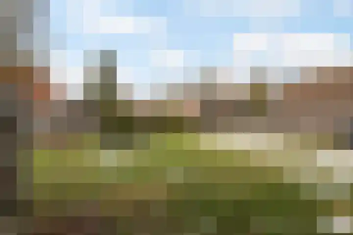 De Bongerd 60 Schoonebeek thumbnail 5