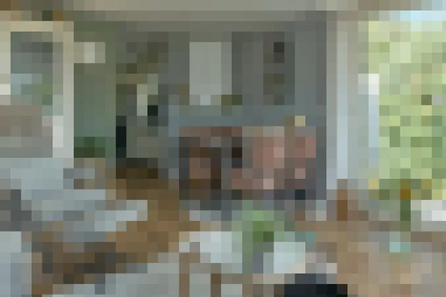 De Bongerd 63 Rohel thumbnail 10