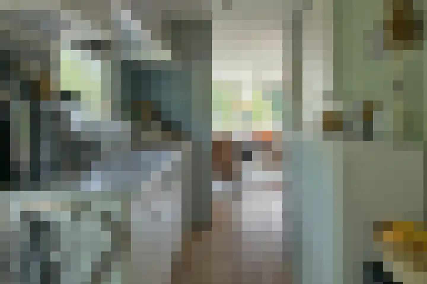 De Bongerd 63 Rohel thumbnail 12