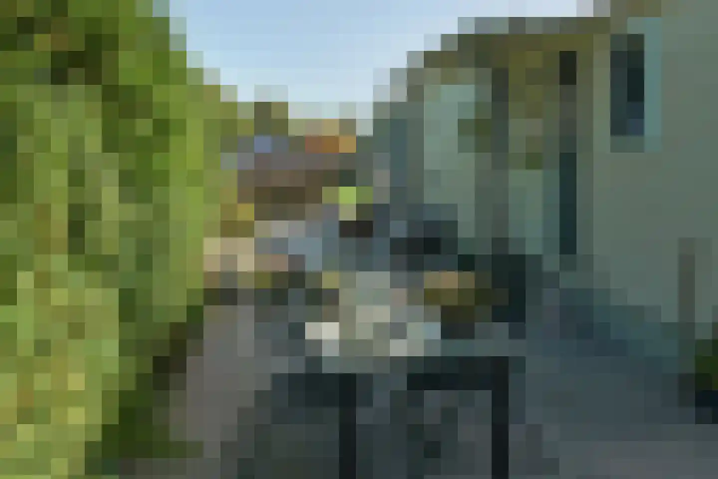 De Bongerd 63 Rohel thumbnail 22