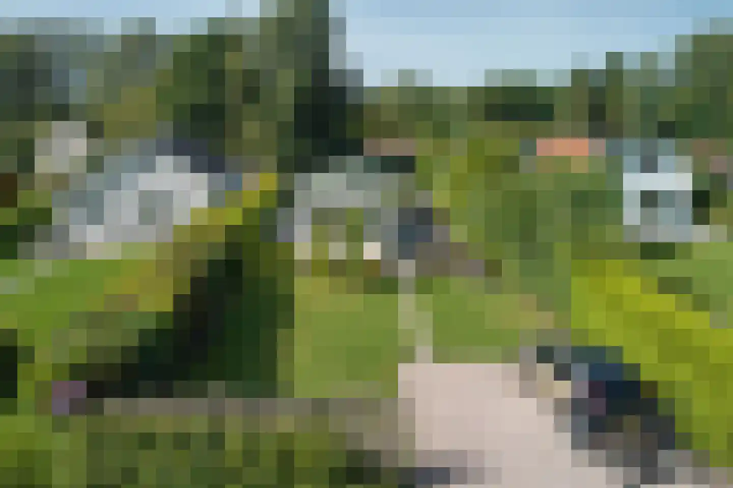 De Bongerd 63 Rohel thumbnail 25