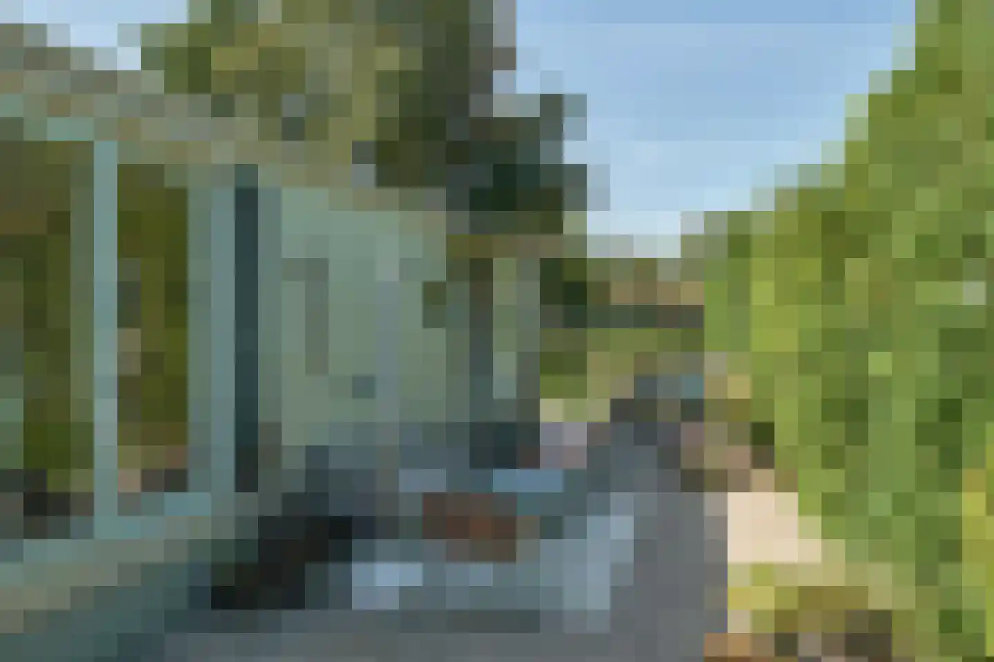 De Bongerd 63 Rohel thumbnail 6