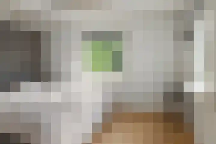De Bongerd 67 Rohel thumbnail 12