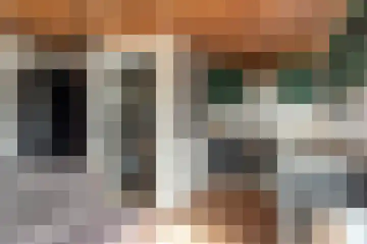 De Bongerd 67 Rohel thumbnail 15