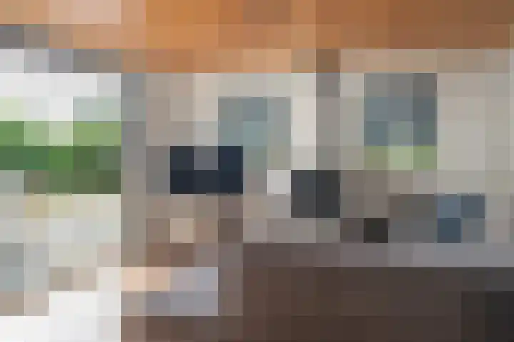 De Bongerd 67 Rohel thumbnail 19
